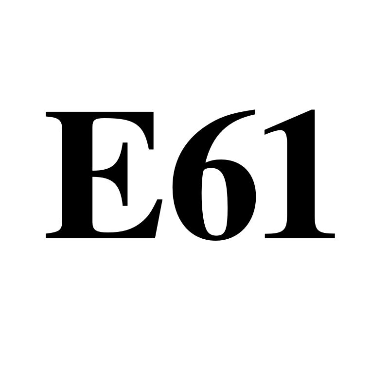 E61